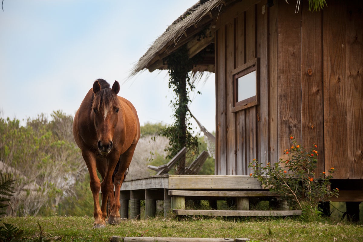 escapadas de carnaval