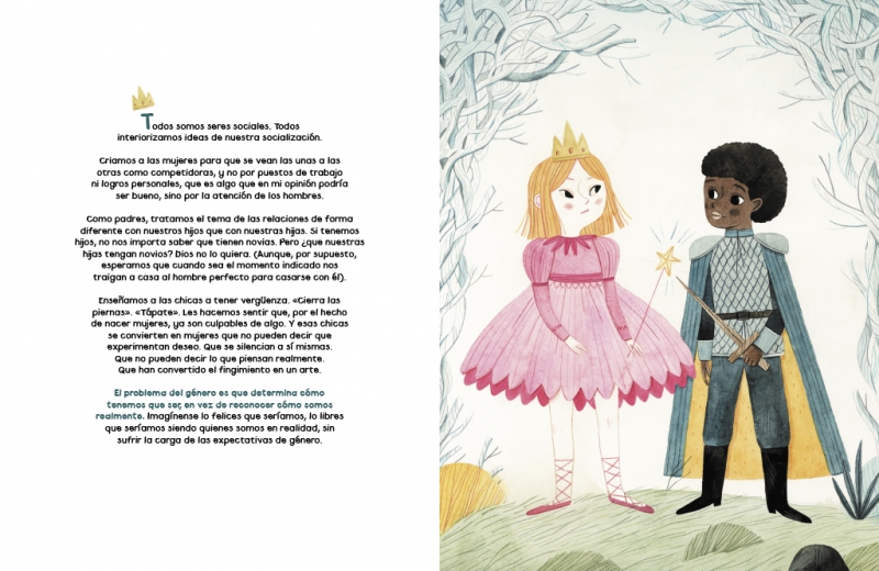 Todos deberíamos ser feministas ilustrado- Bookshop $490