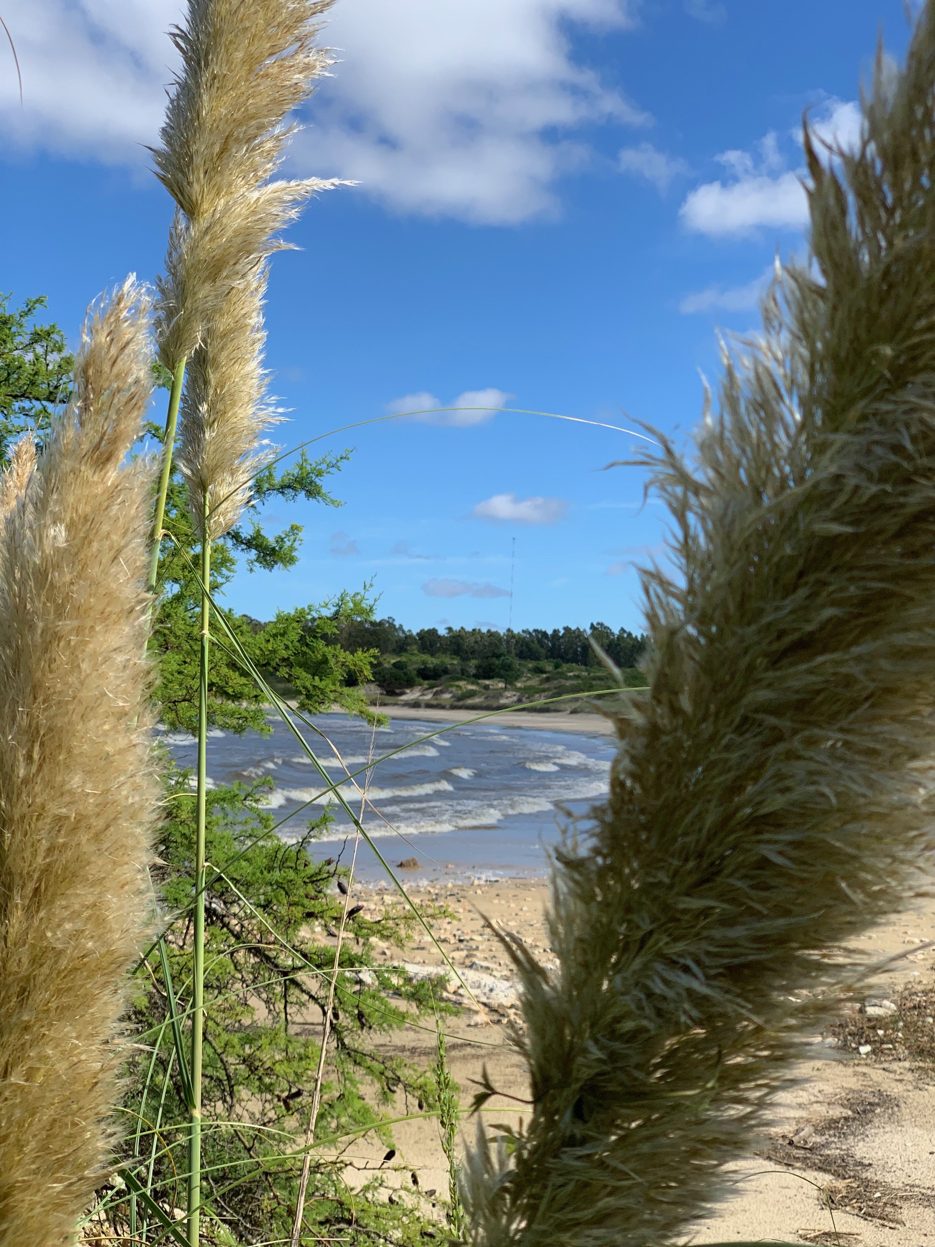 La Baguala Hotel de Campo