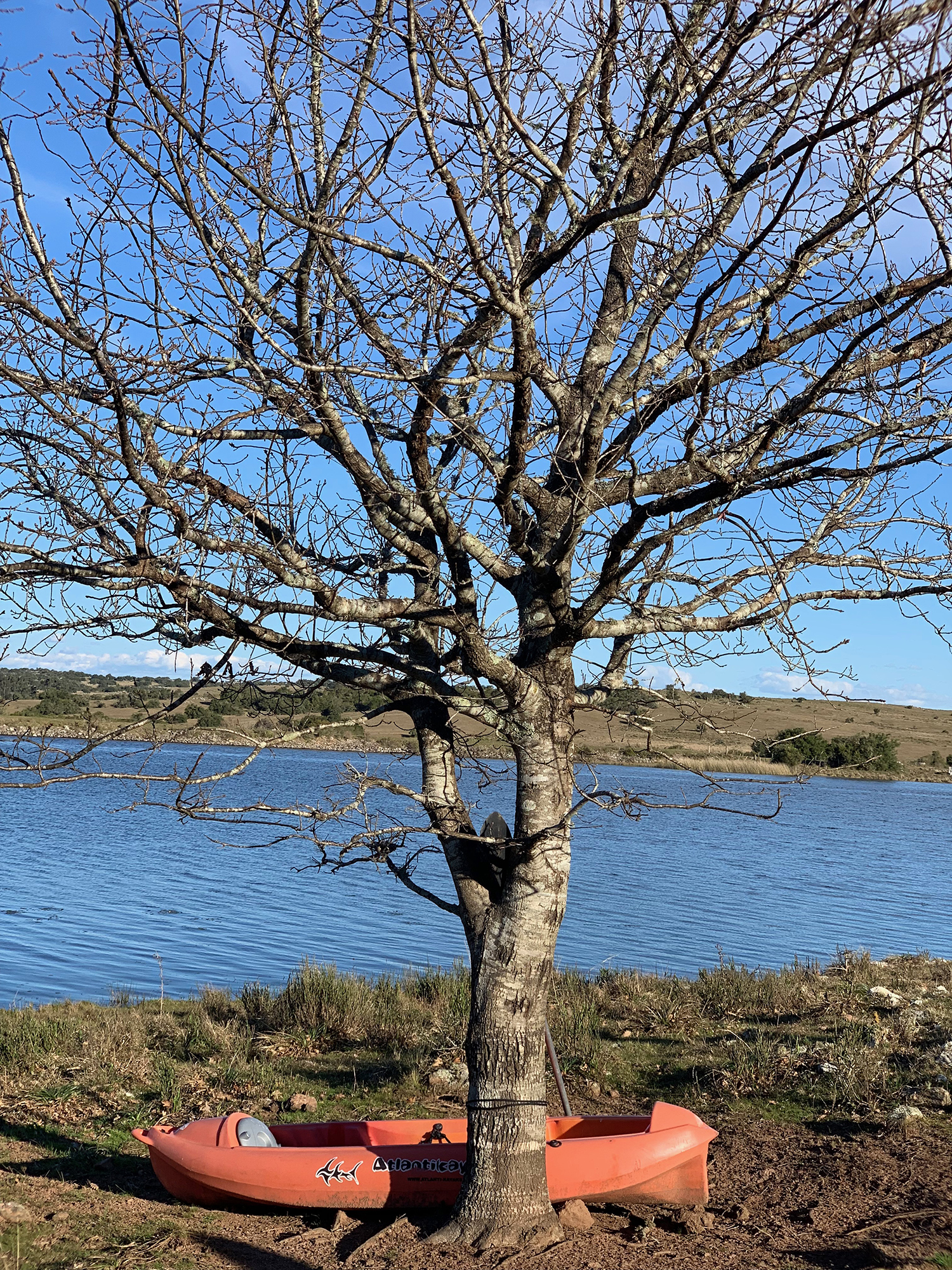 Estancia Aguila Blanca
