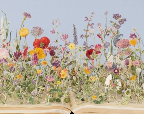 dia del libro